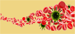 Bloodborne Pathogens